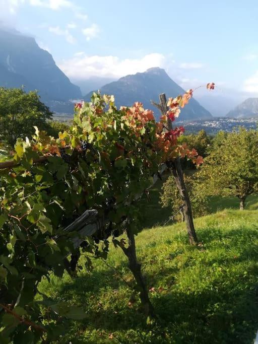 La Casa Nel Prunent Trontano Exterior foto